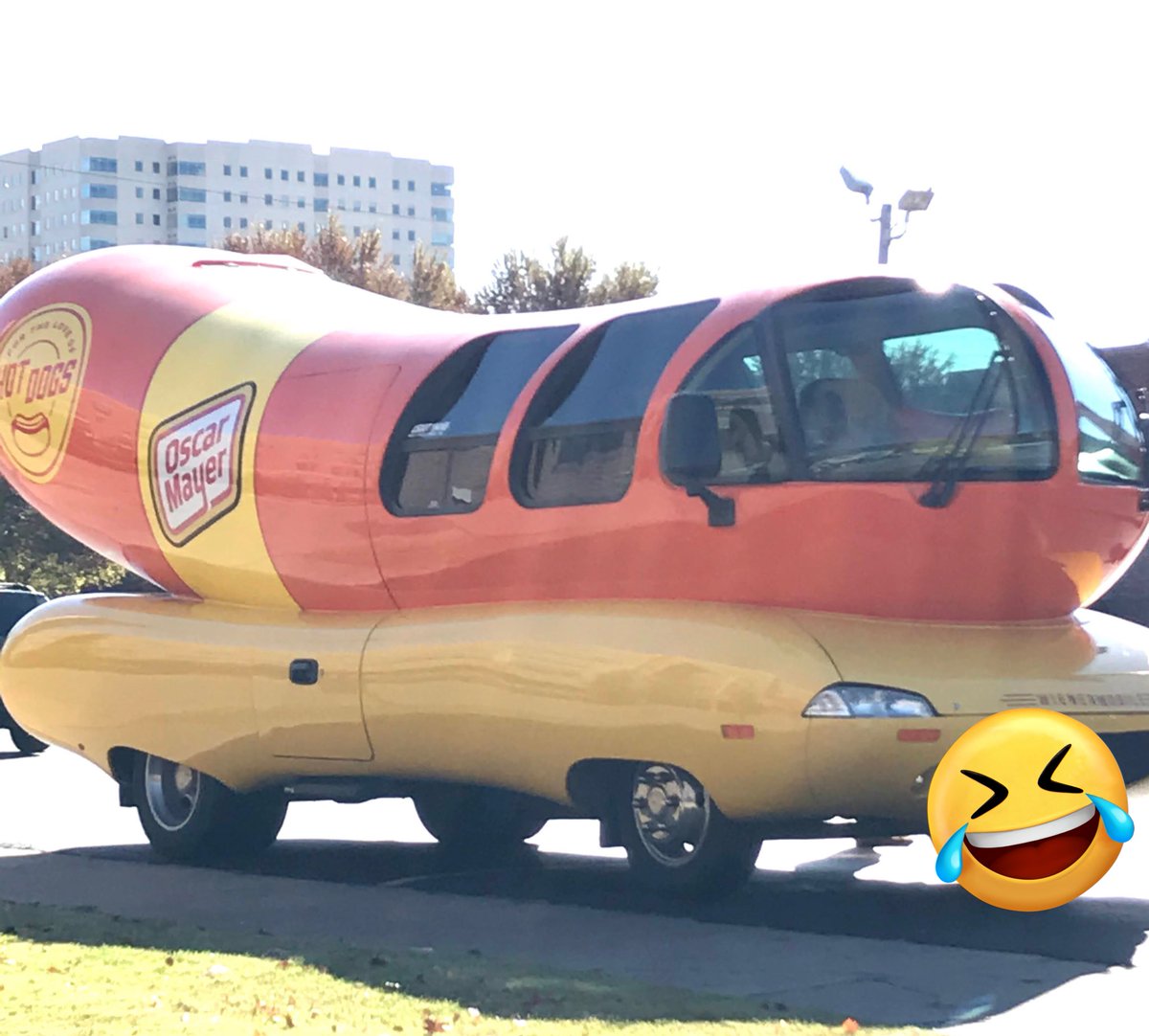 ToiroJapanese's tweet image. ホットドッグ🌭の車！！😆

Vocab🚗

ホットドッグ　（hotto doggu) hotdog(s)
車（kuruma) car