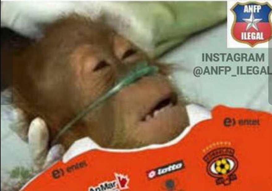 Daniel Barrientos tweet media