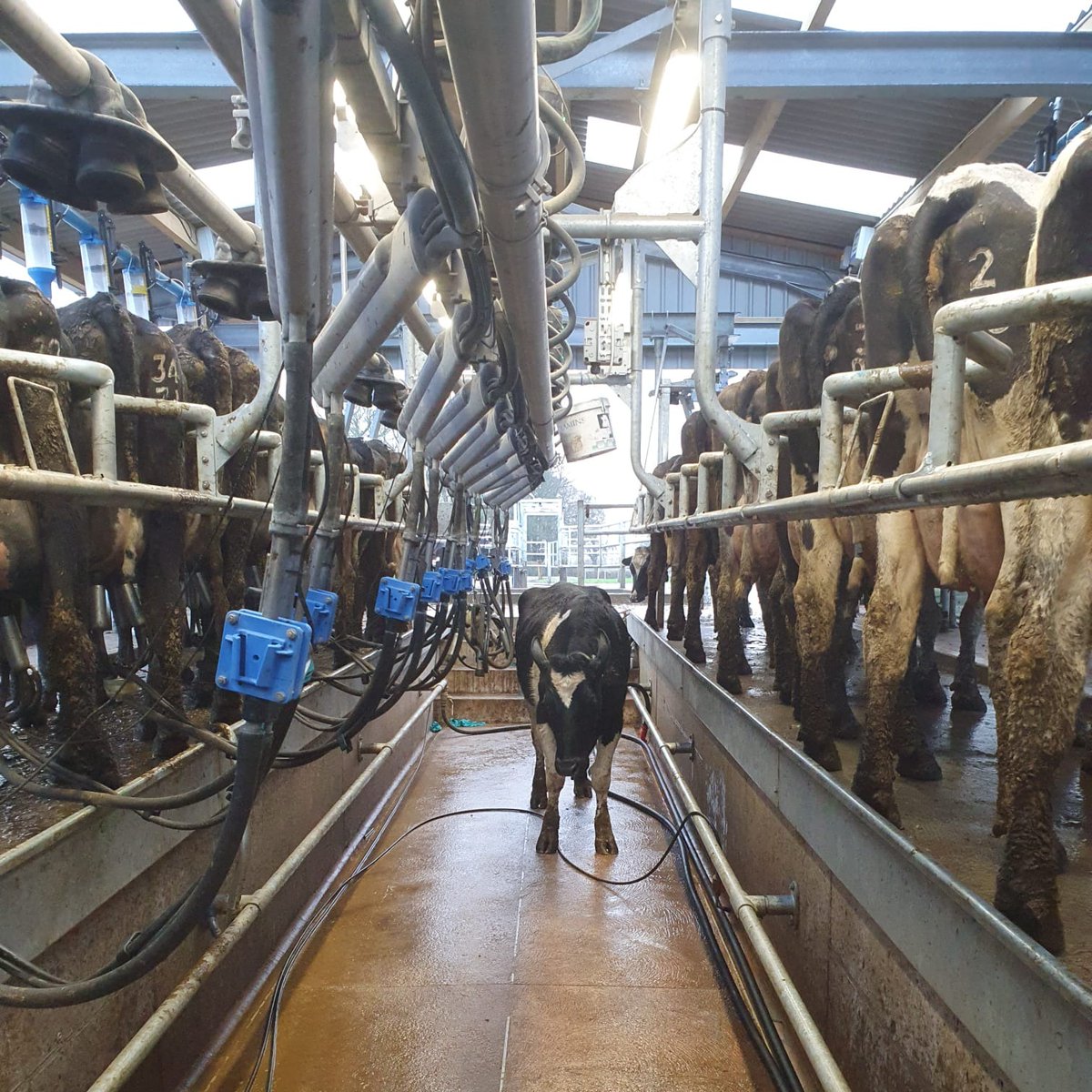 FarmingPartners tweet media