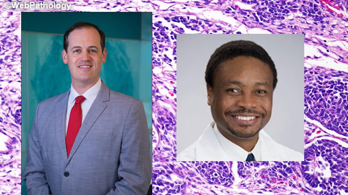 Amanda Herrmann MD, PhD (@herrpath) on Twitter photo #SubspecialtySpotlightSeries
Join us in the #PediPath room with <a href="/MArnold_PedPath/">Michael Arnold, MD, PhD</a> and Dr. Chikwava to learn about pediatric pathology fellowships!
🔬April 4th at 7PM CST
👇Register today!
#PathTwitter #MedTwitter <a href="/SocPediPath/">Soc. Pediatric Path.</a> #SubspecialtySpotlightSeries
Join us in the #PediPath room with <a href="/MArnold_PedPath/">Michael Arnold, MD, PhD</a> and Dr. Chikwava to learn about pediatric pathology fellowships!
🔬April 4th at 7PM CST
👇Register today!
#PathTwitter #MedTwitter <a href="/SocPediPath/">Soc. Pediatric Path.</a>