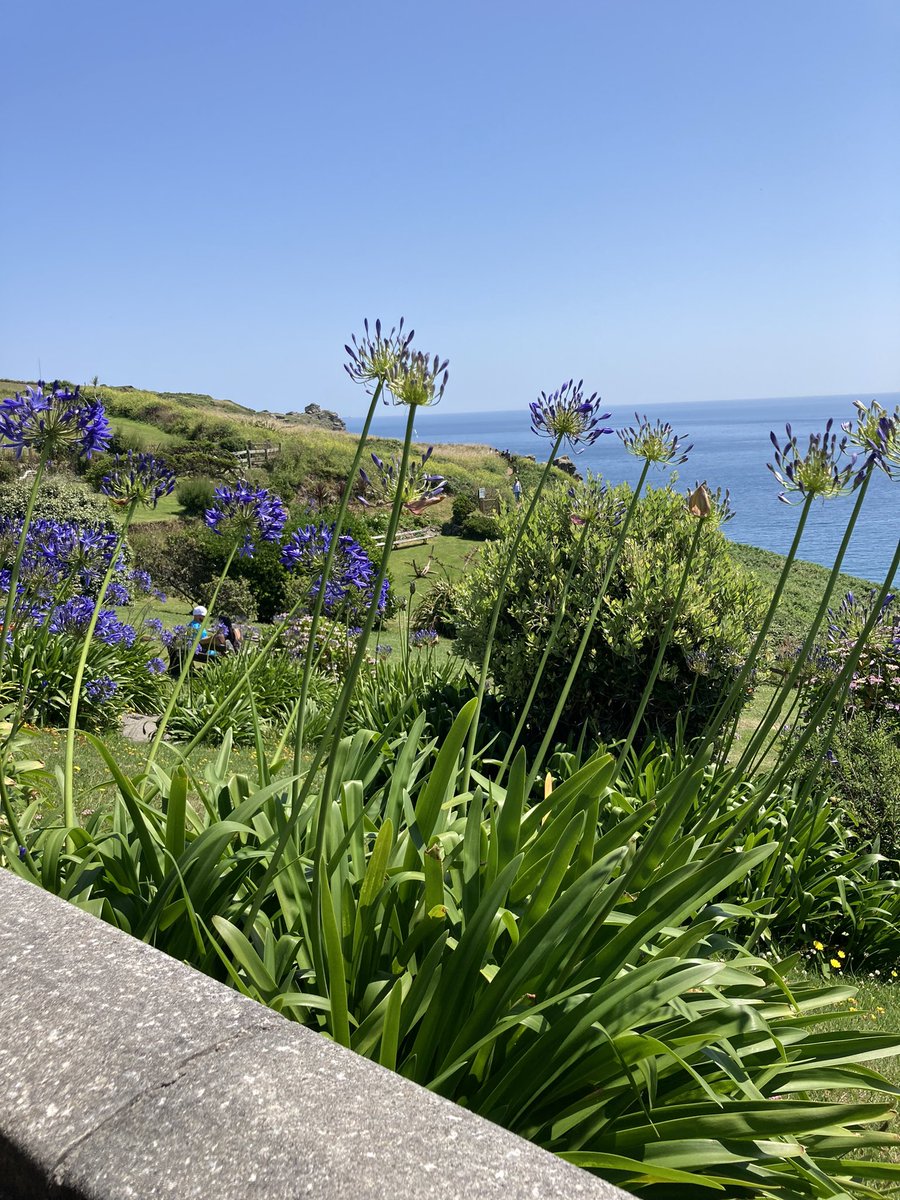 Toplifestyle1's tweet photo. What a fantastic meeting today, helping a veteran look at options in his area. What made it even better was the stunning view from the decking looking out over the Lizard. 
#veteransocialprescribing
@Active_Plus_ @MatthewBoulter https://t.co/AftgdxbNNC