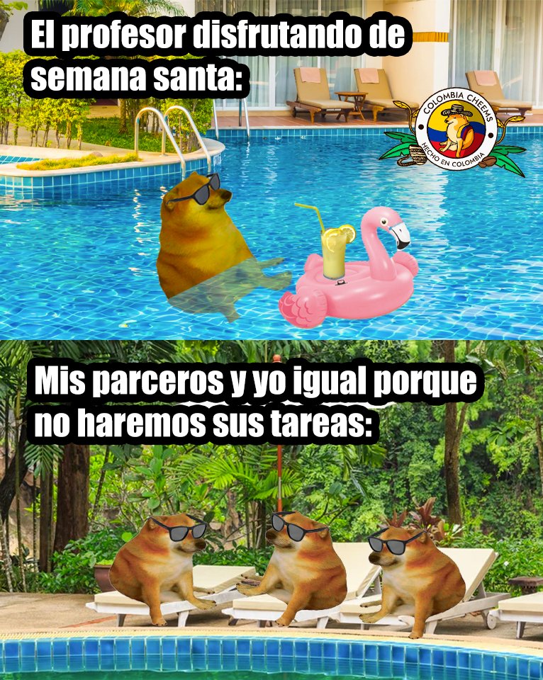 ColombiaCheems's tweet photo. 😎 https://t.co/n381R3yD4Z