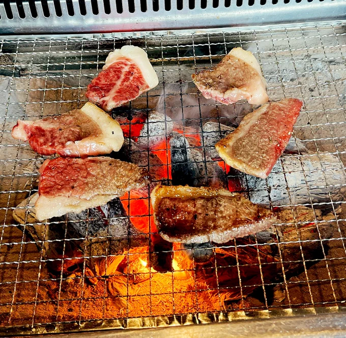 今日は両親と外食で久しぶりに肉食べた!のと、たまたま乗った鹿ラッピング電車が可愛かった 