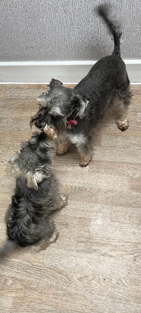 Oakminster Healthcare tweet media