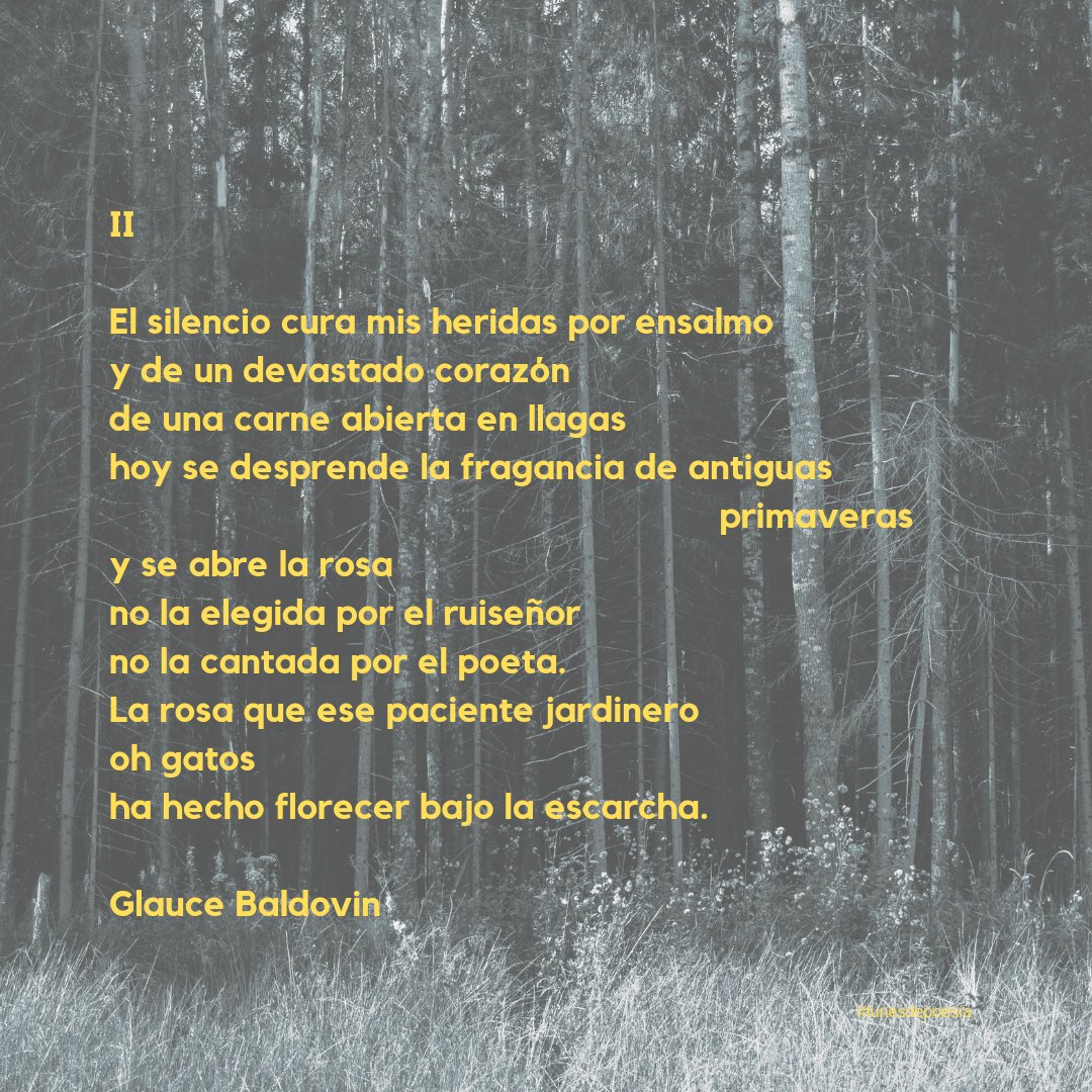 znbustos's tweet photo. Lunes de poesía con Glauce Baldovin

#lunesdepoesía #glaucebaldovin #poetaargentina #escritoraslatinoamericanas #poesía #poetry https://t.co/Rbr5rkbczo