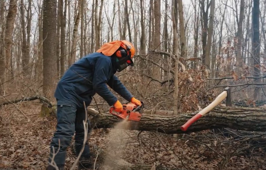 [#timehout] Van de boomkweker tot het paard dat uitsleept, een groot aantal beroepen dat elkaar opvolgt binnen een welomschreven wettelijk kader. Het oogsten van de boom sluit aan bij een economische logica die het #bos niet in het gedrang brengt. lnkd.in/eYp7XBp6