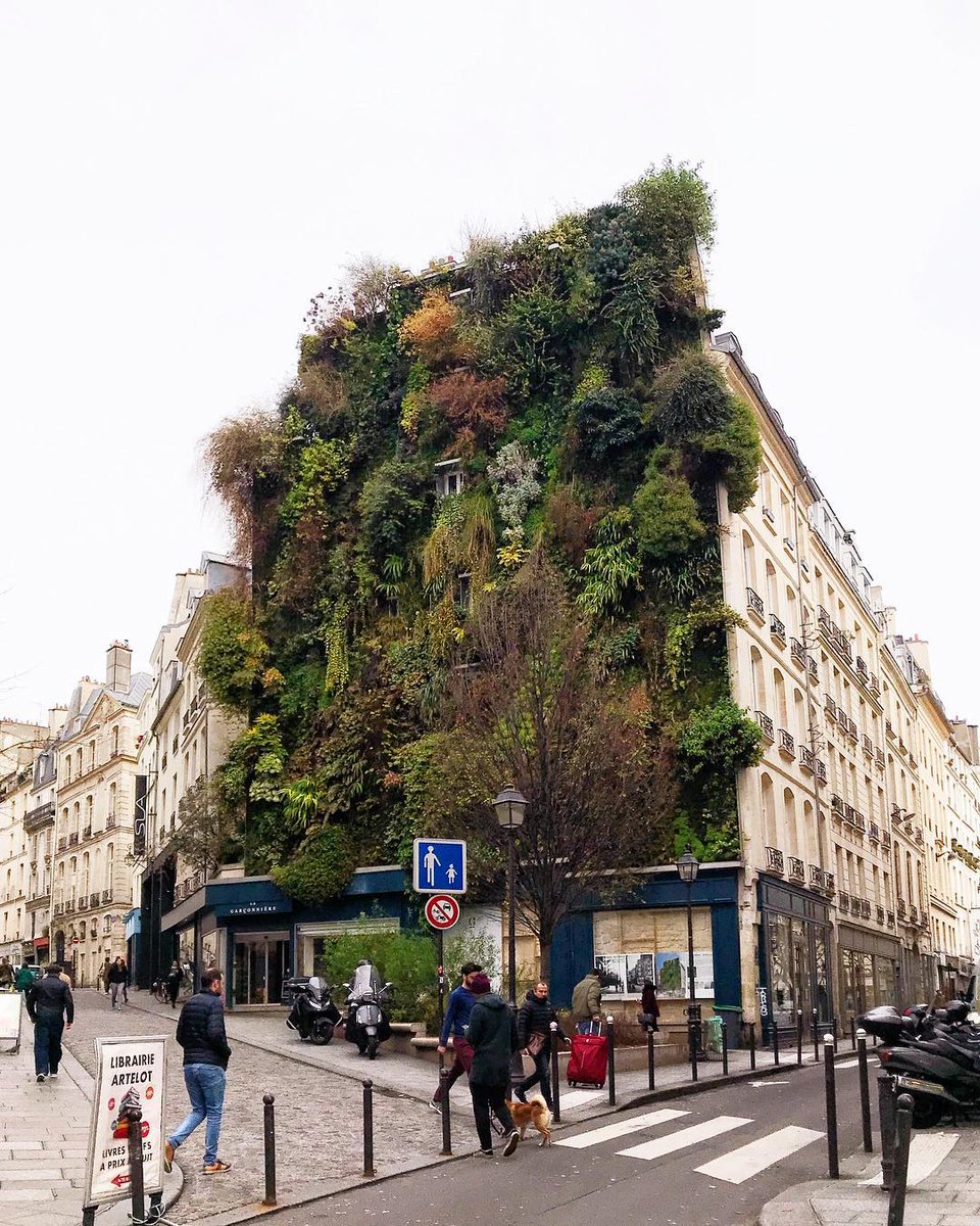 ingebime's tweet photo. 🔵 ⚪ 🔴 Un bloc de cinq étages orné de plus de 7600 plantes 🌿 a été créé à #Paris par le botaniste #français Patrick Blanc, en hommage à la biodiversité. Ce #bâtiment accueille également divers oiseaux et insectes, offrant ainsi un #spectacle impressionnant à contempler ! 🤩 https://t.co/rHFRbvcG1t
