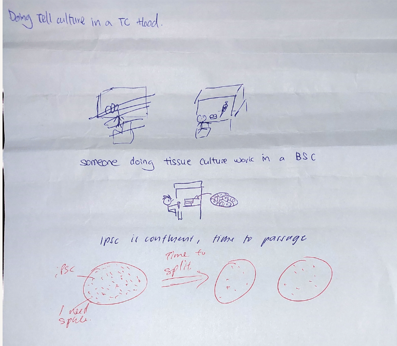 CellbiologyT's tweet photo. Telephone Pictionary *biologist edition* 😆 https://t.co/sIelAMxehA