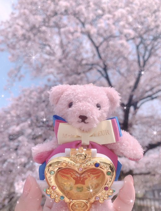 エターナルセーラーくまちゃん.꒰ঌ🧸໒꒱.·一緒にお花見楽しみました🌸💕#セーラームーン#メゾンドフルール 