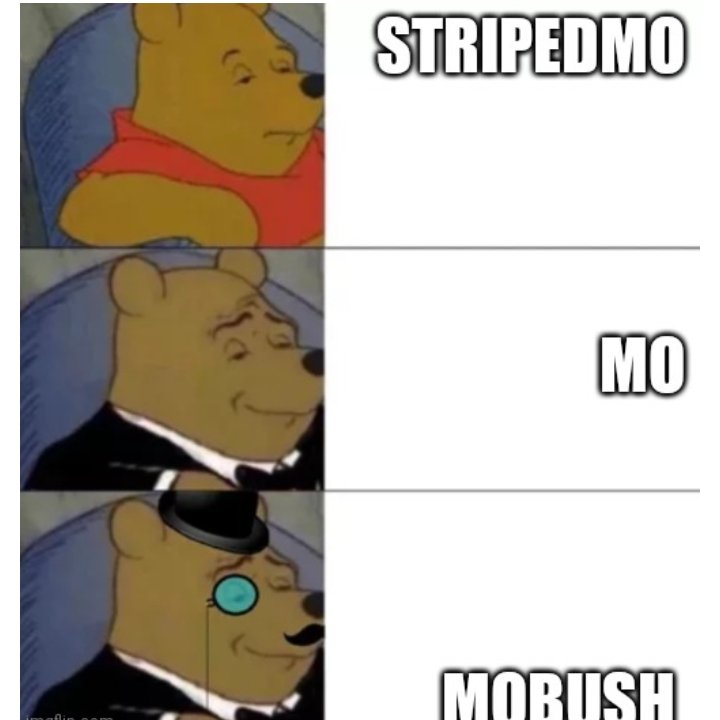 heartmitz's tweet photo. making memes of the buddies! Here's one of @StripedMo https://t.co/cgvCTnOwvo