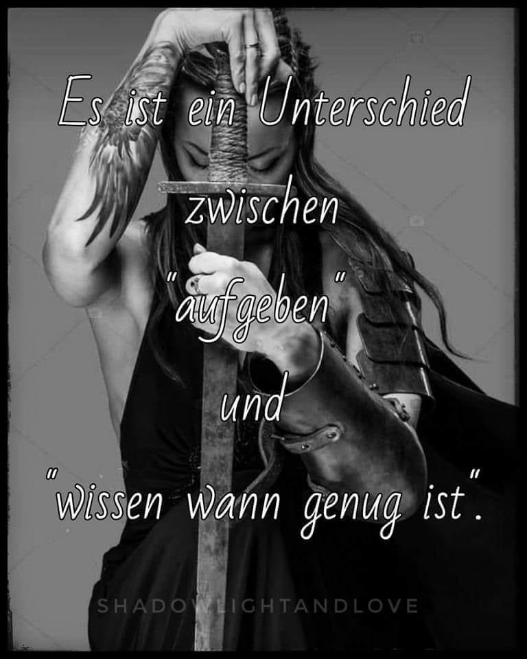 PuppyLove 🎼🎶 (Donny Osmond) tweet media