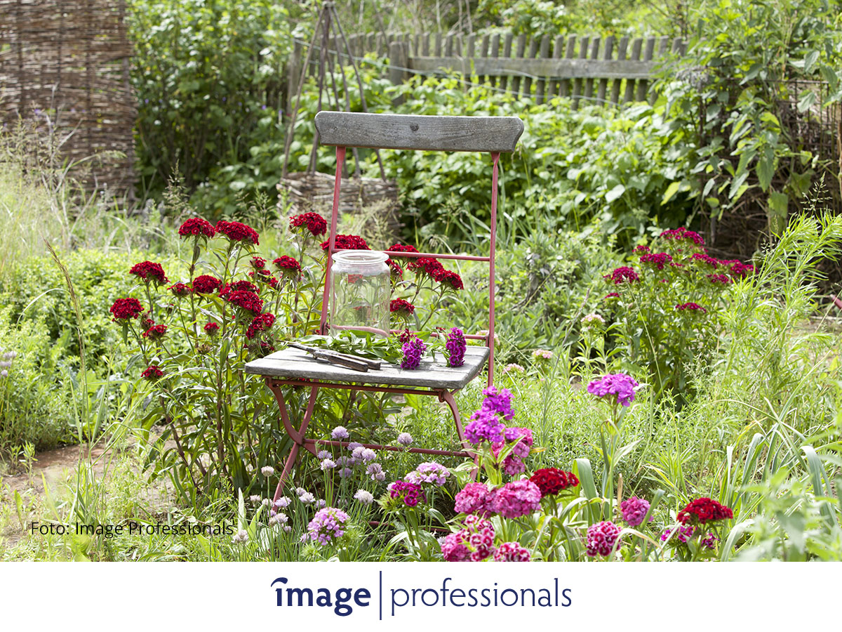 Starting now, 7 new Image Professionals channels enrich the comprehensive image offering in my-picturemaxx. Included are both an overall channel and a separate channel for each main topic.