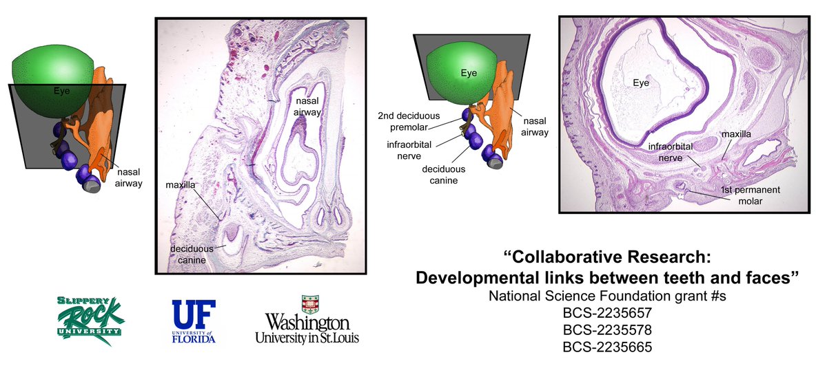 Tim Smith tweet media