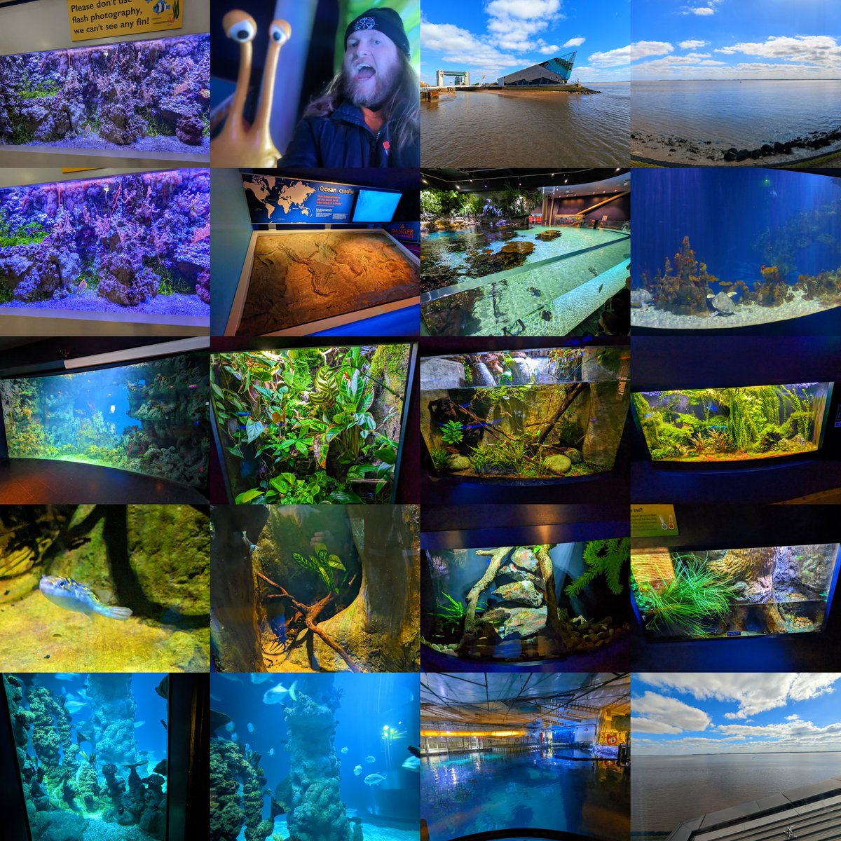 TheHebViking's tweet photo. The Torq at The Deep
#thedeephull #WelcomeToTorkshire https://t.co/ucYsSq7A3s