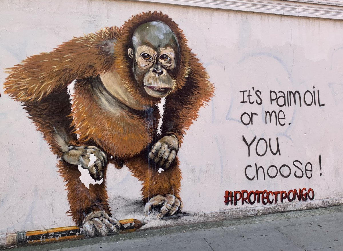 nthlondonhippy's tweet photo. @GreenpeaceUK @KyraDodds #ProtectPongo! (Local graffiti) https://t.co/7M5ZIUuCSc
