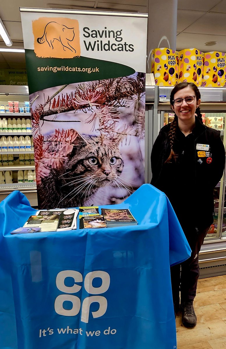 QuinnGordon09's tweet photo. A lovely morning in @coopuk Kingussie  with Helena, chatting to customers and members about how membership and  buying @coopuk branded products helps support @SaveOurWildcats  one of our LocalCommunity Fund causes.  
@PaulMcPCoop @Tom_MPM @LisaCopland7 @mylesmacd01 https://t.co/8vrW9gOXYC