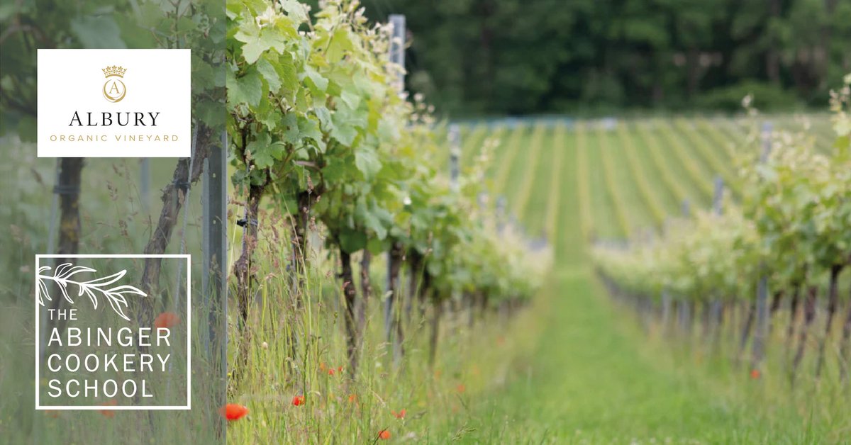 What pairs well with team bonding and a plate of delicious food? A tall glass of vino, of course...

Good news! when you book a #CorporateDay with us, you’ll receive 10% off <a href="/AlburyVineyard/">Albury Vineyard</a>’s #EnglishWine! 🍷

Get booking today: bit.ly/3hzy2Hr.