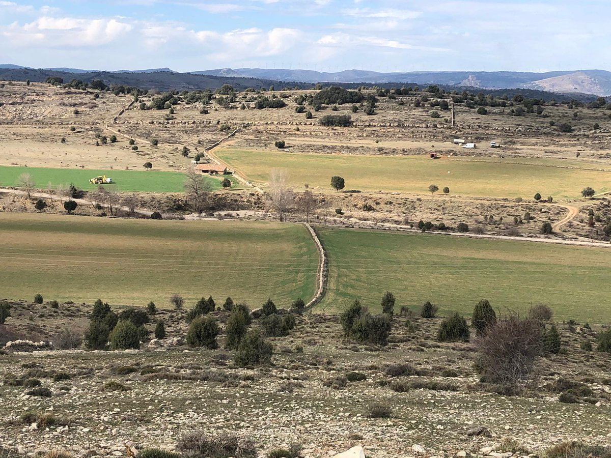 NoMatCCastello's tweet photo. 🔴Última hora🔴

▶️@ACCIONA ja ha entrat a destrossar bancals a la dena dels Llivis (Morella) per dur a terme l'estudi geotècnic necessari per poder construir la macroplanta fotovoltaica de 1700ha

⁉️Heu autoritzat aquest accés @Ajmorella?
Les famílies que treballen les terres NO https://t.co/6X8MDsUMve
