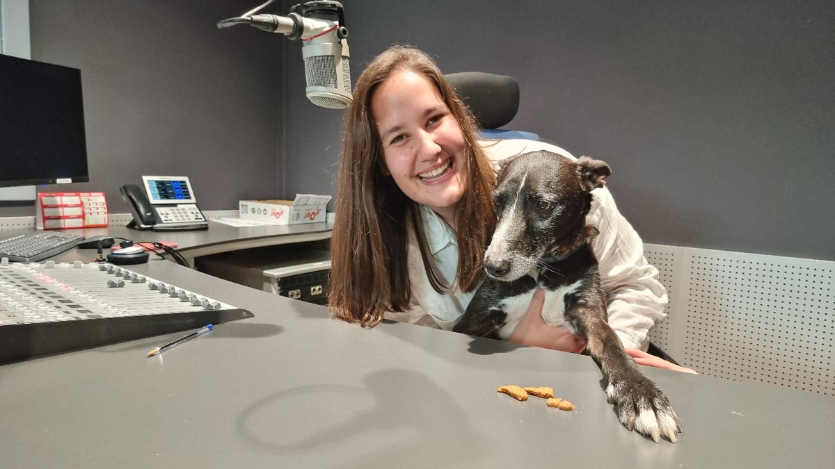 Inés Ayala Sender on Twitter