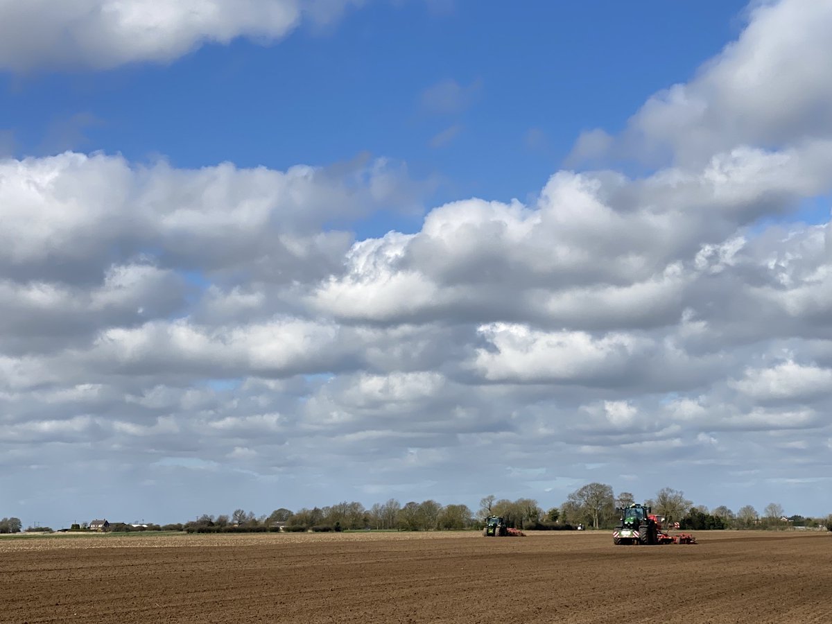 Fen Peas Ltd tweet media