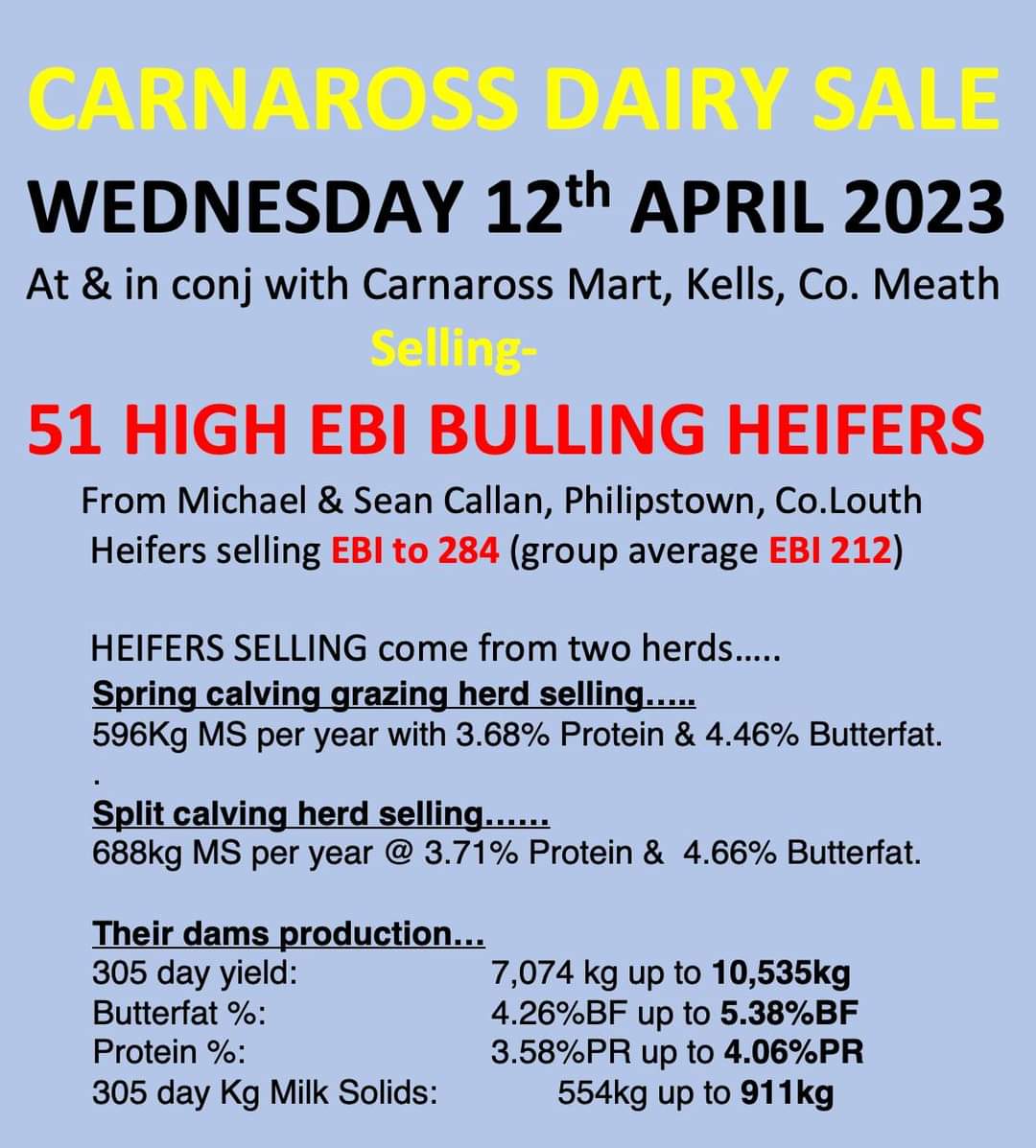 Good bunch of surplus heifers for sale with <a href="/taaffeauctions/">TAAFFE AUCTIONS LTD.</a> on Wednesday 12th in Carnaross. All homebred AI sired stock. All born late January or Early Feb. Any RT's greatly appreciated