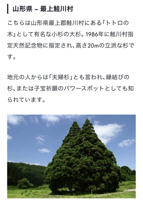 山形のジブリスポットとなりのトトロ→鮭川村のトトロの木千と千尋の神隠し→銀山温泉コクリコ坂から→鶴岡の洋館おもひでぽろぽ