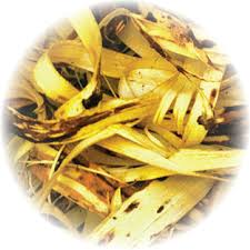 50Plushealths's tweet photo. Popular #Herbs - #Slipperyelm (Ulmus rubra) https://t.co/SSosRV7sgJ https://t.co/qNvYNfrlNr
