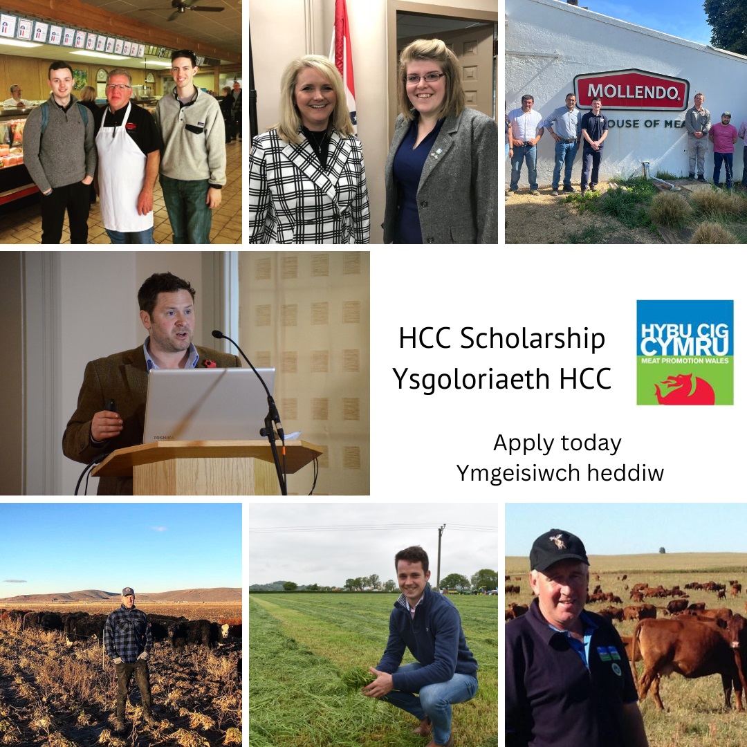 APPLY NOW!

Will you be the HCC Scholar for 2023?

Join an illustrious list of past winners and enjoy a career-enhancing and life-changing experience.

More information here:
meatpromotion.wales/en/industry-re…