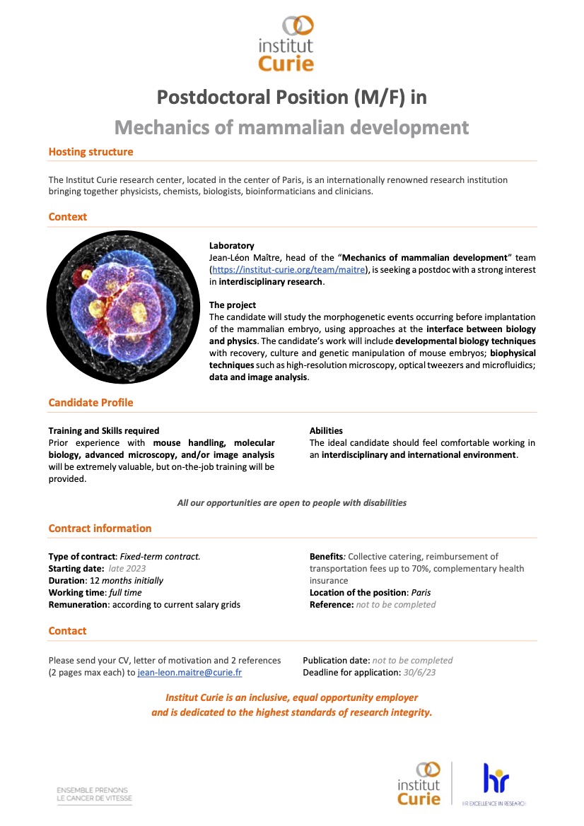 Jean-Léon Maître (@maitrejl) on Twitter photo 📢📢We're looking for a new postdoc to join our team <a href="/institut_curie/">Institut Curie</a> in the center of #Paris! Interested in embryonic development and interdisciplinary research? Apply!
Know someone who would be interested? Please RT!
#postdocposition #AcademicTwitter 📢📢We're looking for a new postdoc to join our team <a href="/institut_curie/">Institut Curie</a> in the center of #Paris! Interested in embryonic development and interdisciplinary research? Apply!
Know someone who would be interested? Please RT!
#postdocposition #AcademicTwitter