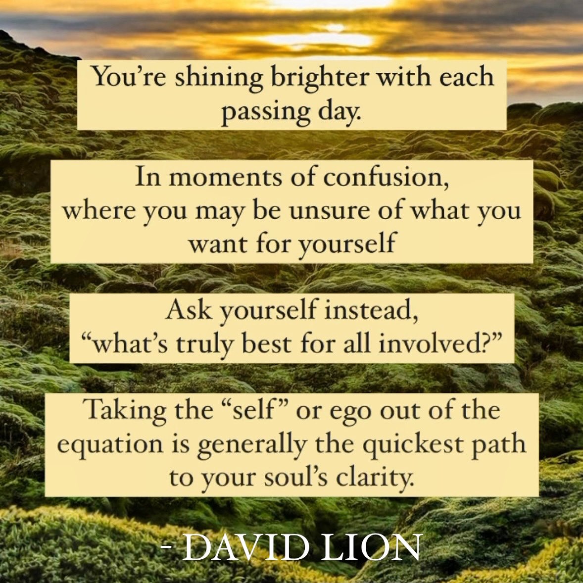 David Lion (@davidlion333) on Twitter photo 