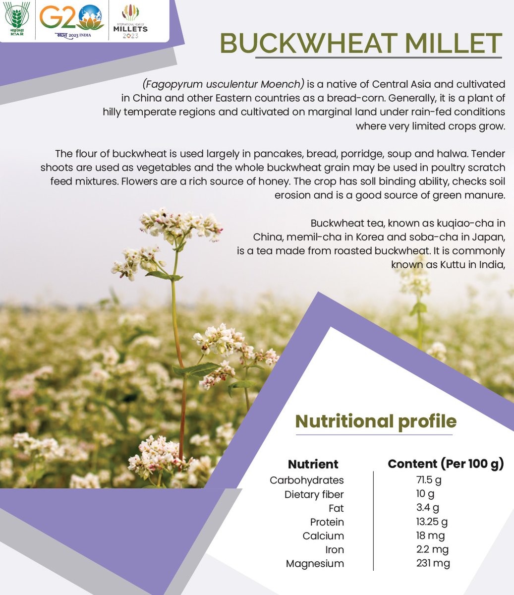 Indian Council of Agricultural Research. on Twitter "Buckwheat Millet