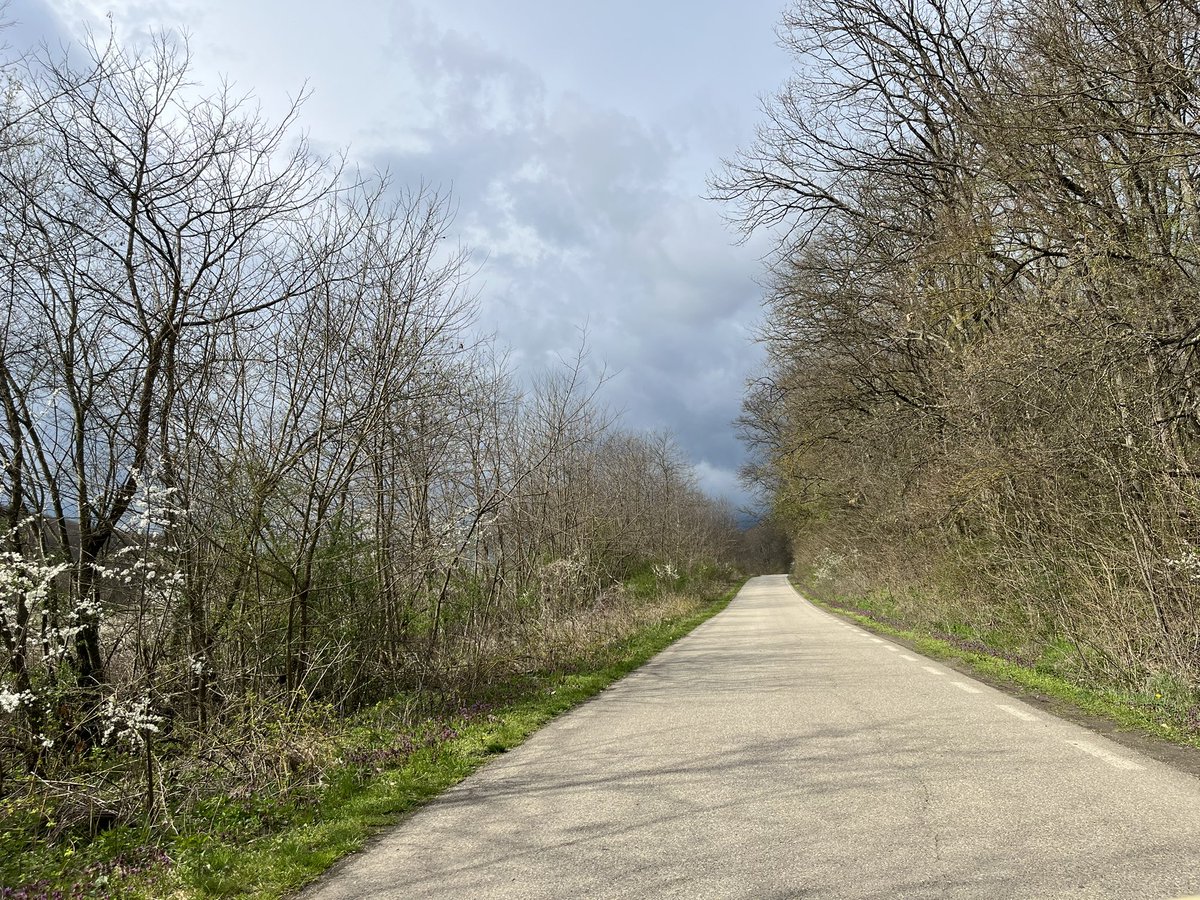 ione_ione78's tweet image. Haidaț la leurda&amp;amp;urzici #springvibe