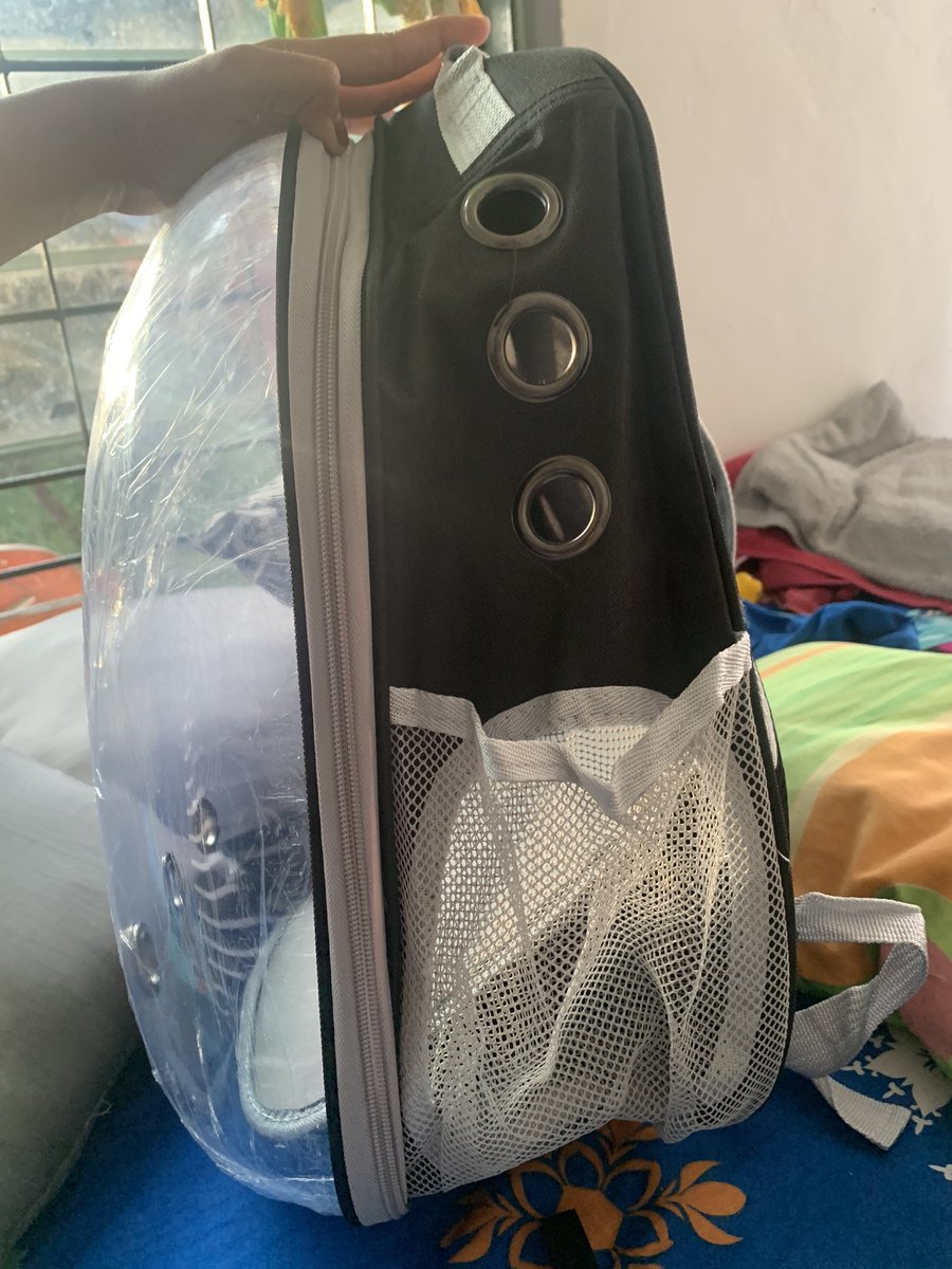 stupsagita's tweet image. yang nyari tas astronot buat kucingg 
kondisi masih baruu 
no minus
harga?bisa nego
dm aja
#taskucing
#kucing