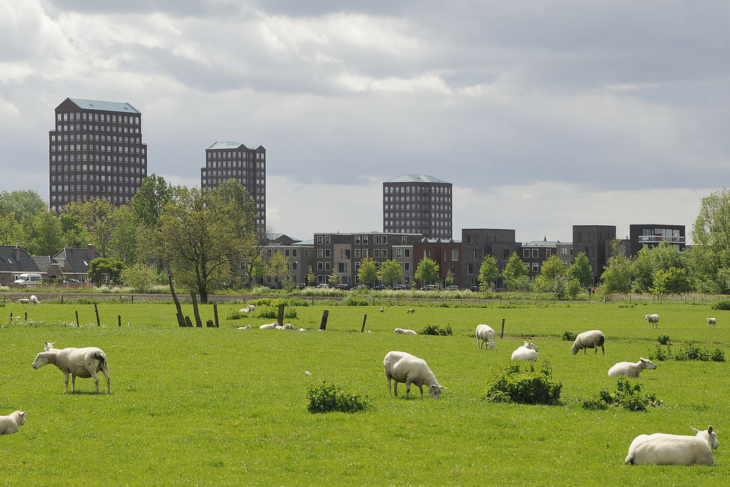 WUR's tweet photo. #Platteland 🌾👨‍🌾 | Hoe leefbaar is het platteland tegenwoordig? Dit onderzocht de WUR. Het blijkt dat er een keteneffect speelt: het verdwijnen van voorzieningen, zorgt er voor dat nog meer sluit. Moet de overheid verantwoordelijkheid nemen? ⤵️ https://t.co/7kz4mmT7QV https://t.co/bCIggNzauo