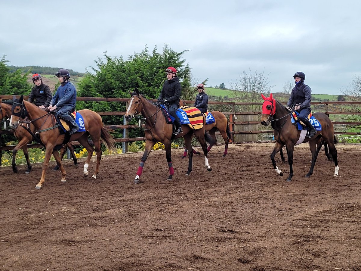 Last year's Group 1 winning 3yo Above The Curve (Shane Crosse up) has returned to training with the Pretty Polly Stakes being a mid-term target for her trainer Joseph O'Brien.