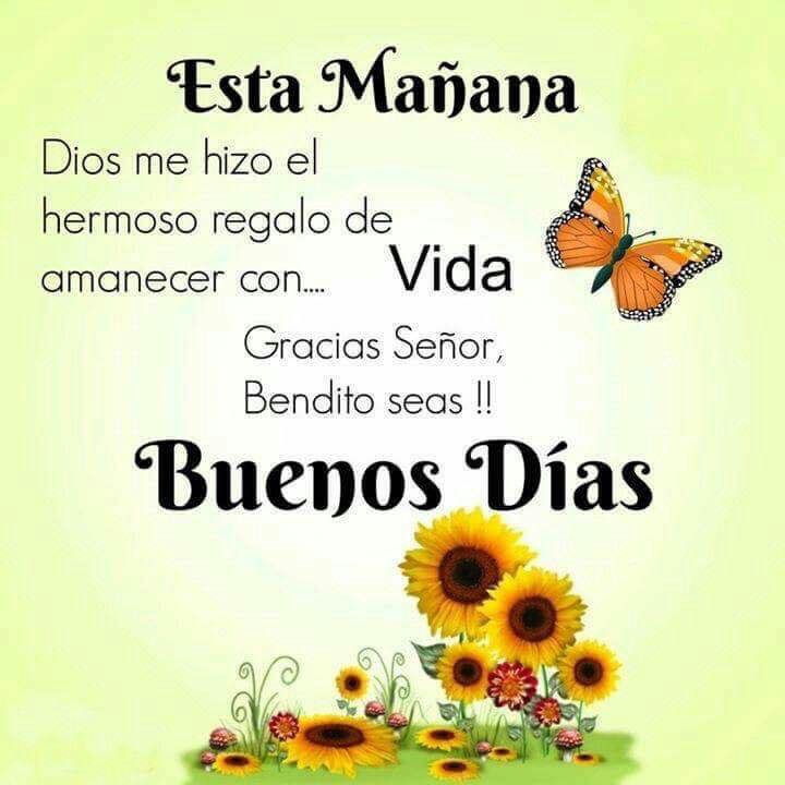 BUENOS DÍAS! 🌤️Con lluvia🌨️ con calor🥵 nada como un café ☕y tu compañia☺️

#SemanaMayorEnFamilia
<a href="/EmyMay75070510/">🅼︎🅰︎🆈︎🅴︎ 💋</a>
<a href="/militzahergar/">Militza Hernández</a> 
<a href="/MiAngel01552570/">Mi Angel</a> 
<a href="/Yeltsin77779624/">Yeltsin</a> 
<a href="/yenny_escorche/">tuitero de Aragua</a> 
<a href="/Aury12_/">Auriangelis🌸</a> <a href="/Arelys_50/">Arelys</a> 
<a href="/luis16684716/">tuitero de Aragua</a> 
<a href="/AgusGarcia97/">Alejandro Garcia</a> 
<a href="/alan09346149/">alan</a> 
<a href="/alfredo447/">Aprende Cuatro FÁCIL, RÁPIDO Y SENCILLO</a> 
<a href="/Aury12_/">Auriangelis🌸</a>  <a href="/jsk24/">jessica</a>