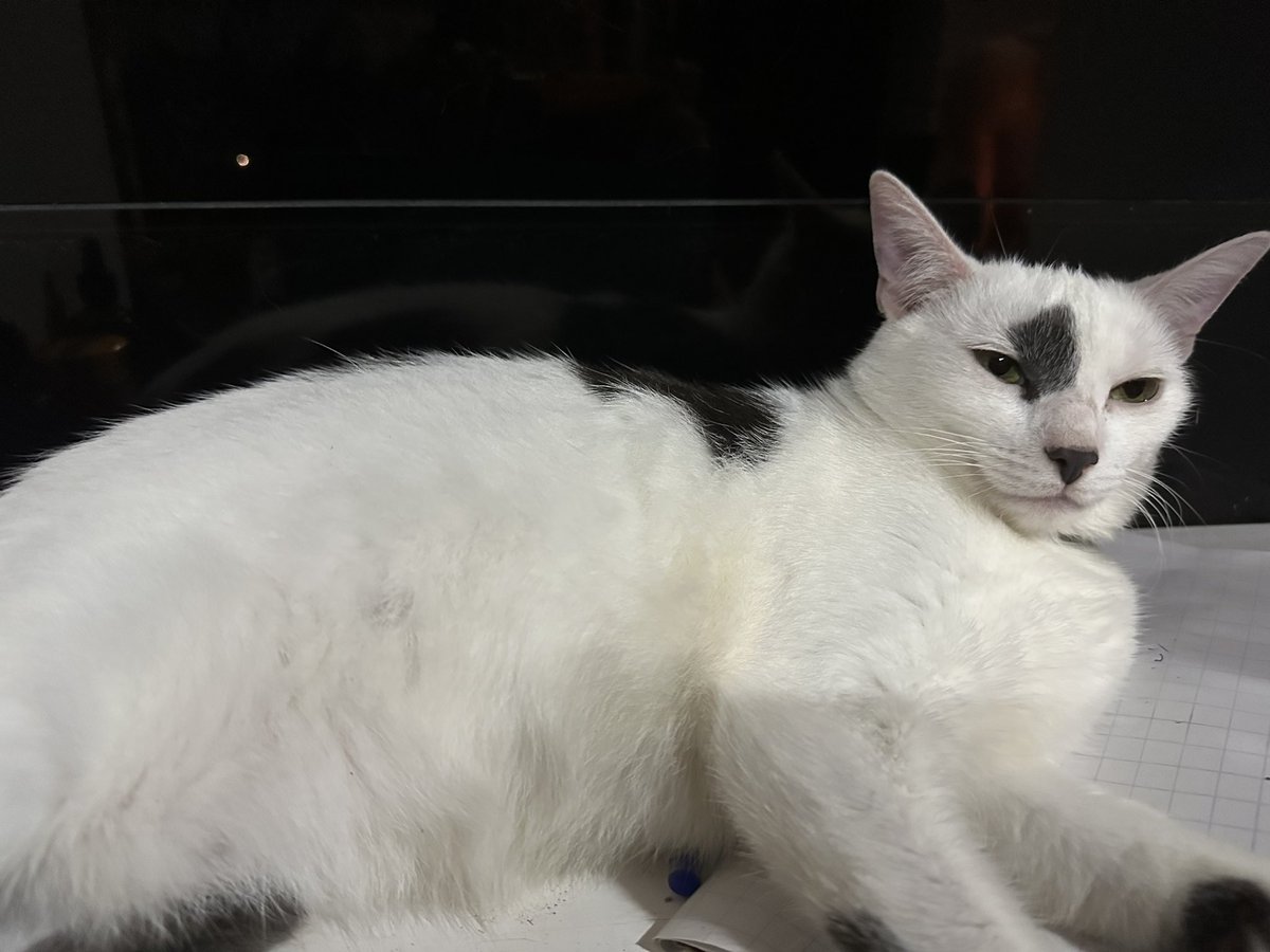 CodeTiffanyL's tweet image. Hi everyone, 
I had a flu few days ago 🤧😷so rest on bed for few days and feel better now.
I’m currently plan to move house so I may post my 100days code challenge later because of busy plan. 
So sorry about any late reply comment or messages. 🥹🥹🥹