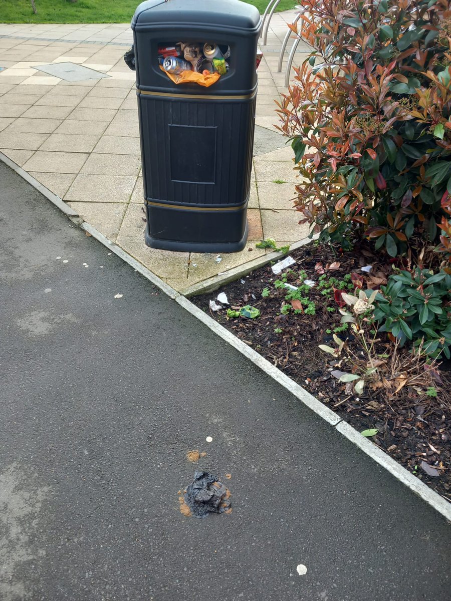 DorisDaleOct4's tweet image. @LidlGB  Hygiene issue with the Hackbridge store due to filthy, overflowing bins outside the entrance, not cleared up for days despite staff being made aware several times. Dog poo all over the pavement, being walked into the store?? #hackbridge #Lidl #dirtybins #unhygienic 💩