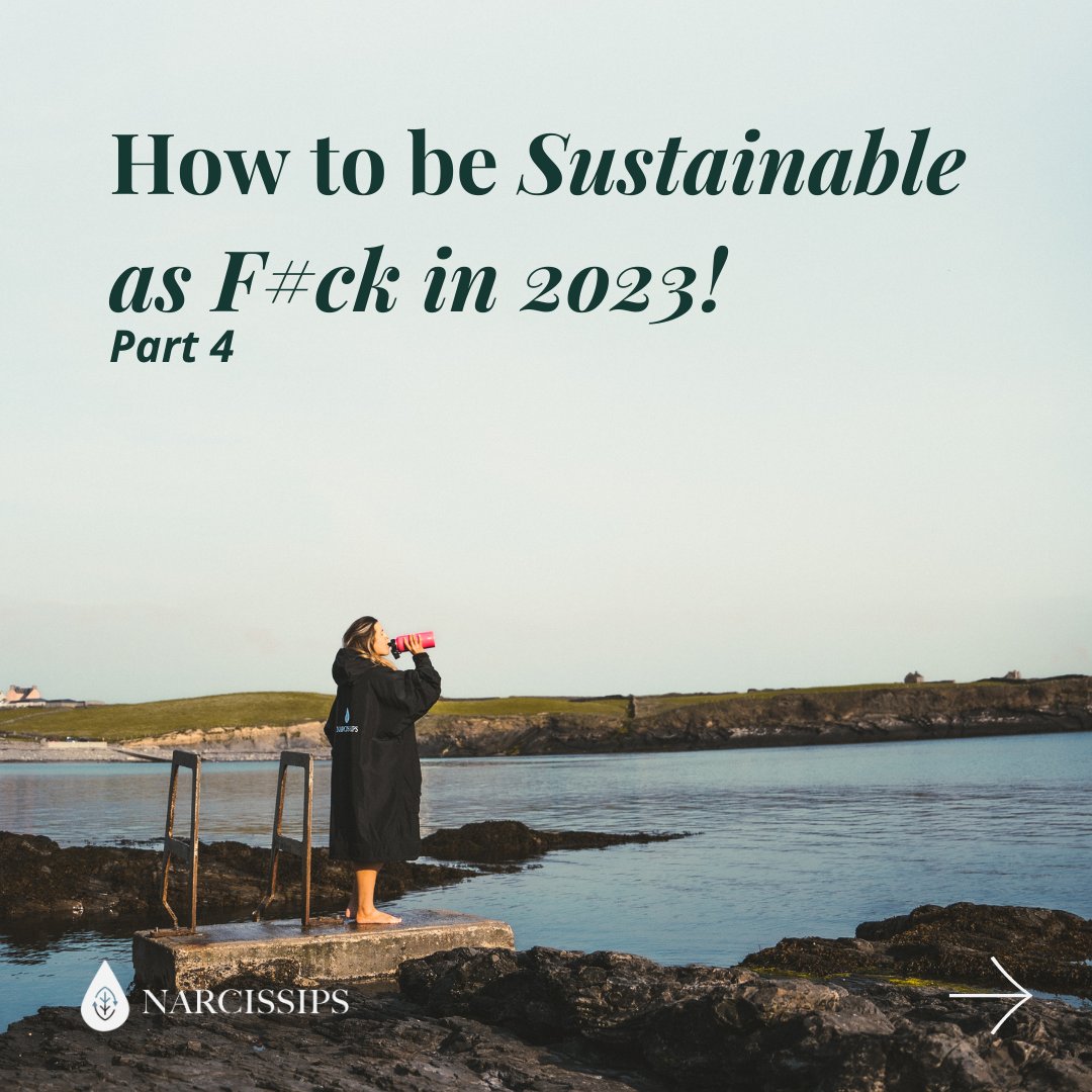 Narcissips's tweet photo. How to be Sustainable as F#ck in 2023, part 4 with Narcissips Ireland - small changes, that can make a big impact!

Head over to our Blog section to see how easy, realistic tips can make a difference.

#smallchange #reuse #irishbrand #irishbusiness  #plasticfree https://t.co/zlcfib2aUr
