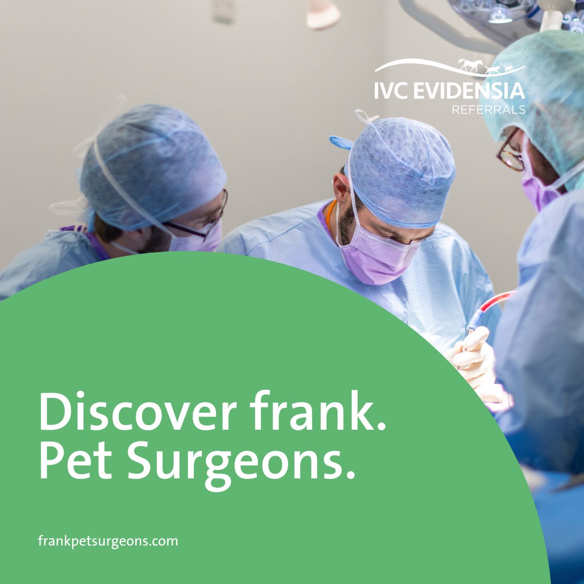 The team at @frankpetsurgeon have released a new video which provides individuals with an insight into their fantastic referral centre based in Leeds. Watch via ➡️ frankpetsurgeons.com/for-referring-… #IVCEvidensiaReferrals