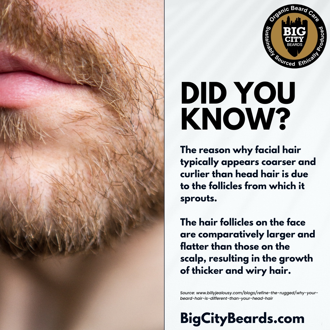 BigCityBeards's tweet photo. You need to understand how it grows and what it needs. 
As the saying goes, 'A man can't improve his hair unless he knows what it needs.' So take the time to understand your beard and treat it with the care it deserves.

Check our products today!

#DidYouKnow #BigCityBeards https://t.co/evU4B7LlUU