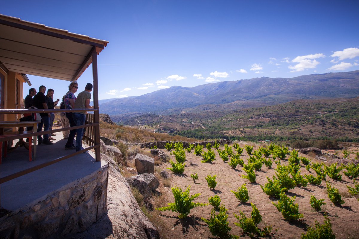 Llegan días festivos y hacer #enoturismo en el territorio #DOPCebreros es una auténtica pasada🍷🌄.
Como decían en La Hora Chanante...

No te digo "ná" y te lo digo "tó"😜

Aquí os dejamos los datos de contacto de nuestras bodegas:
dopcebreros.com/las-bodegas

#Ávila #SierradeGredos