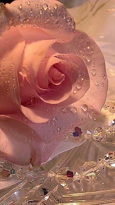 Feliz inicio de semana para todos... Dios nos regale infinitas bendiciones.