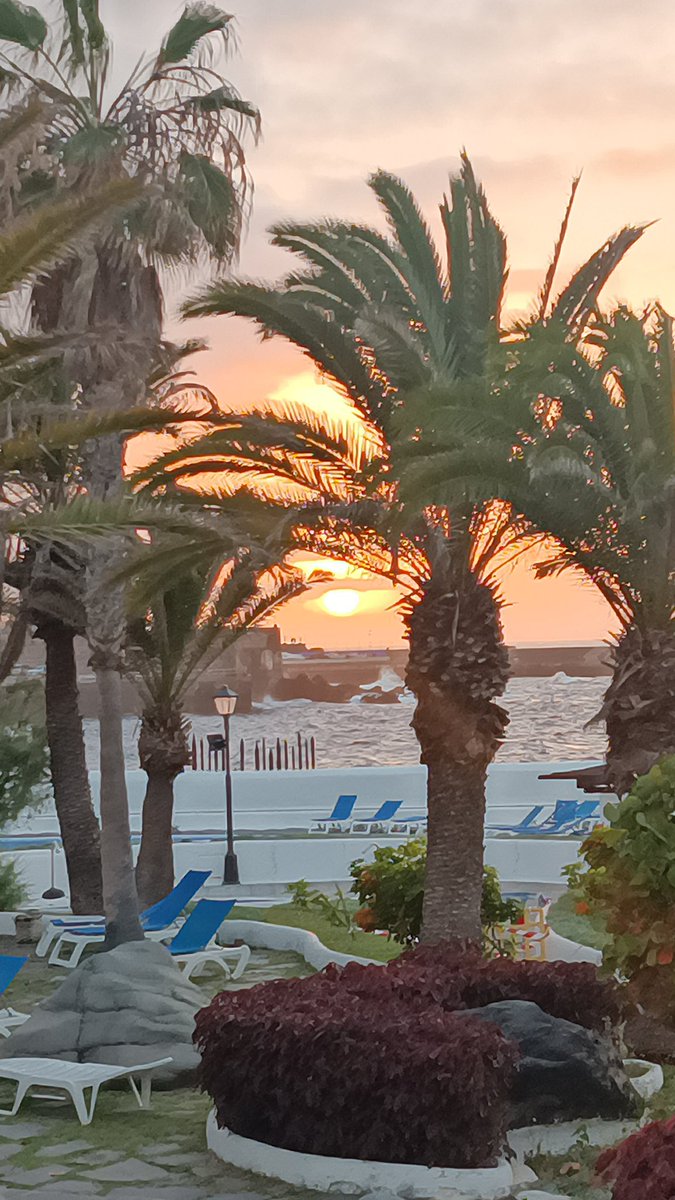 Another beautiful Sunset on Puerto de la Cruz de Tenerife 🌻😎✌️🇮🇨💯
#sunset #sunsettenerife #puertodelacruz #amazingsunset #springsunset #visitpuertodelacruz  #tenerifeparaisocanario #mobilephotography #photographer #shotcamera  #sunsetsunday #lagomartianez #somostenerife #life