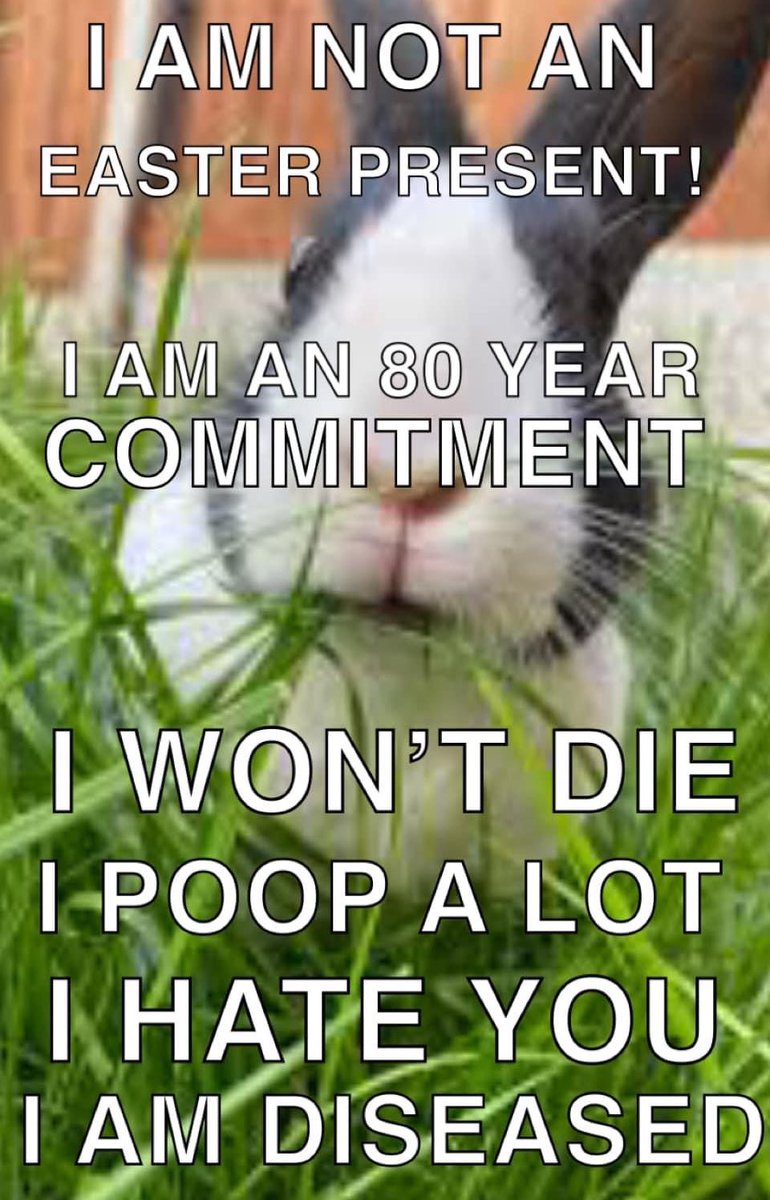 🏳️‍⚧️transfem soundwave🏳️‍⚧️ on Twitter "RT NeilNevins Annual