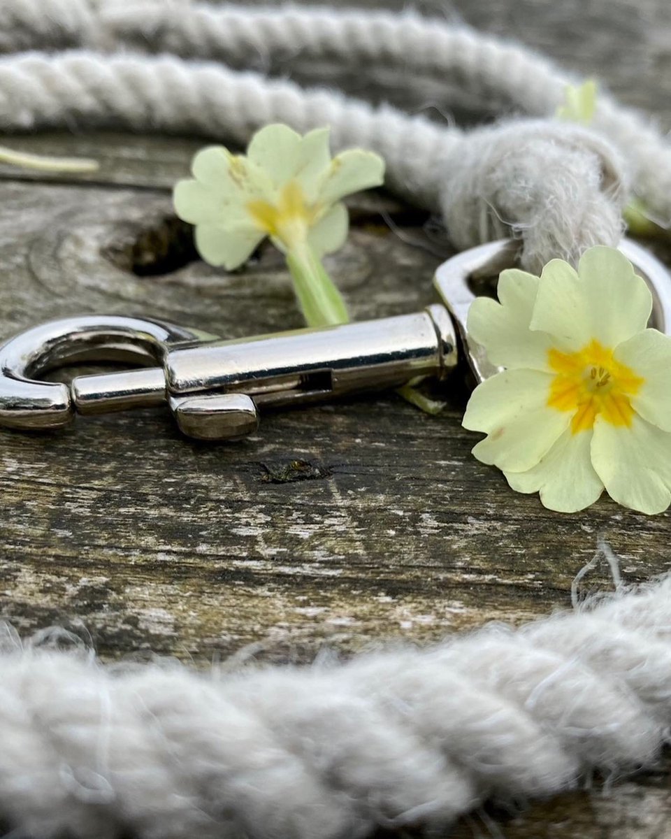 woolismybread's tweet photo. My 🐑Shepherdess wool dog leads. Blessed with a quieter morning I’m able to get the dog leads packed. 💛🙏🐾🐾thank you all for orders &amp; patience .. they will be in post this afternoon #doglead #wool #wooldoglead #leash #dog #SmallBusiness https://t.co/Ptq0VMxBWX