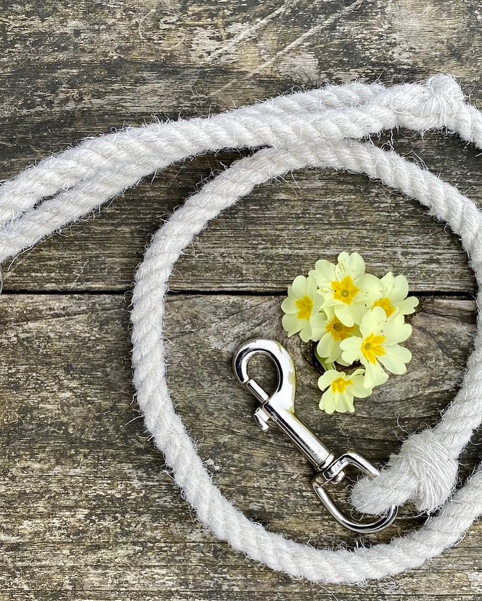 woolismybread's tweet photo. My 🐑Shepherdess wool dog leads. Blessed with a quieter morning I’m able to get the dog leads packed. 💛🙏🐾🐾thank you all for orders &amp; patience .. they will be in post this afternoon #doglead #wool #wooldoglead #leash #dog #SmallBusiness https://t.co/Ptq0VMxBWX