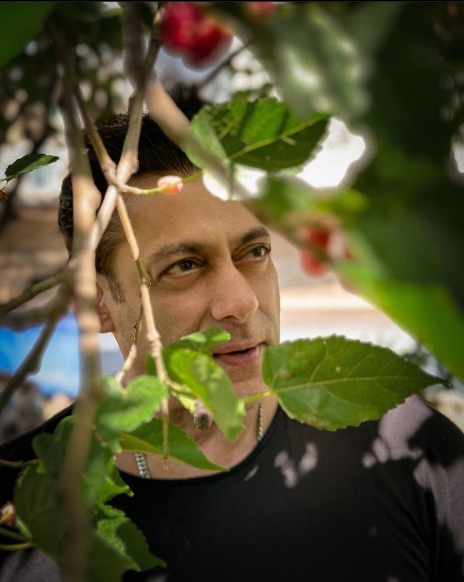 GorasSwaroop's tweet photo. Rate this pic ⭐ 

#SalmanKhan𓃵 https://t.co/8bIKh367nt