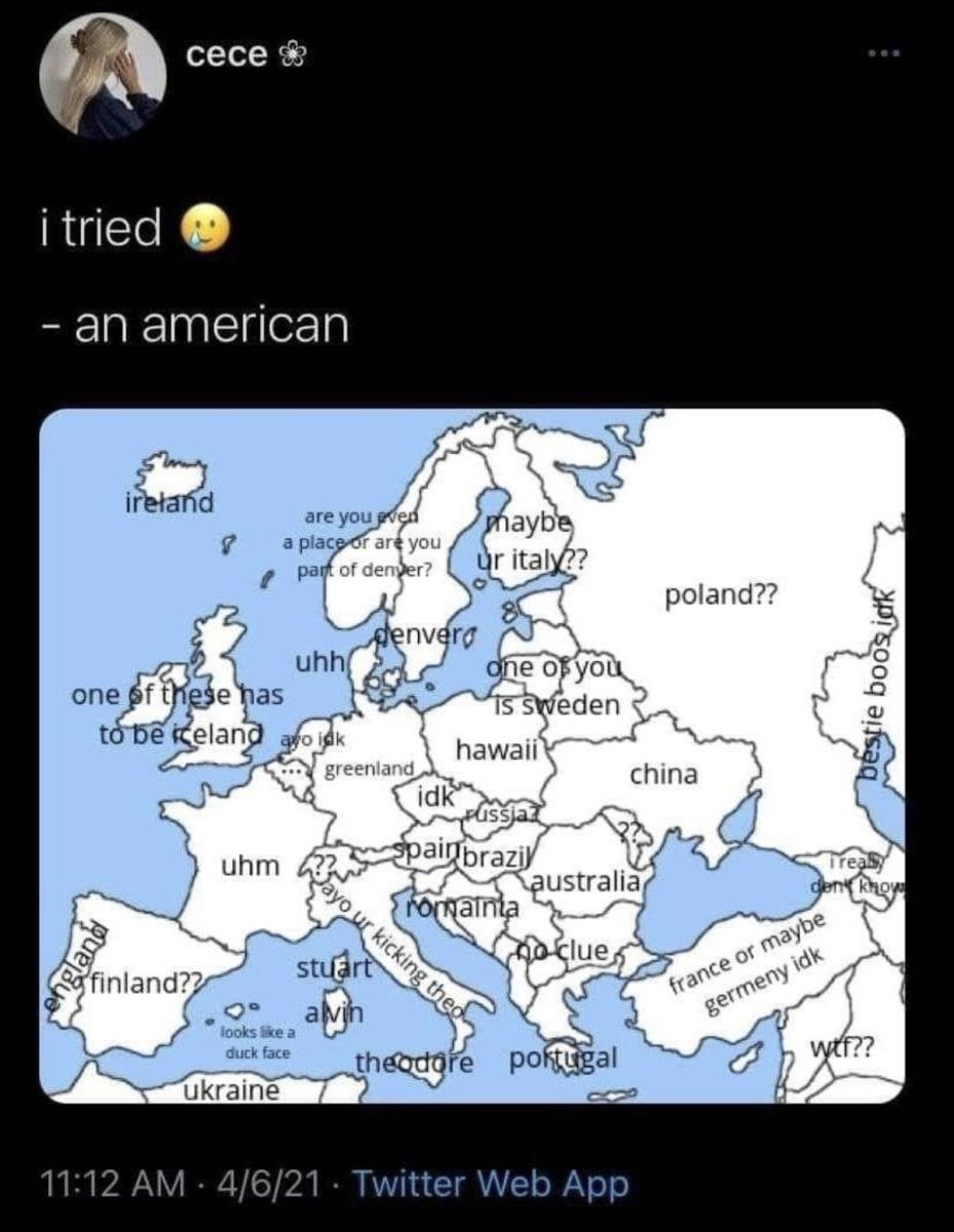 Braindead Bird App (@tragicbirdapp) on Twitter photo 