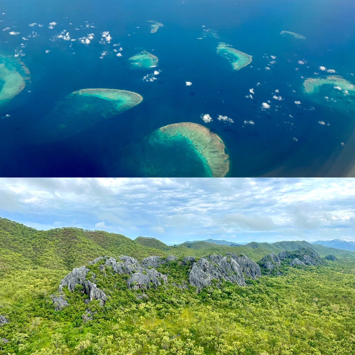 south_endeavour's tweet image. Two Great Barrier Reefs 380 million years apart. 150km west of the Daintree, the Mitchell-Palmer karst is an incredible natural wonder.  Yet it is threatened by mining and other development. It should be a national park.